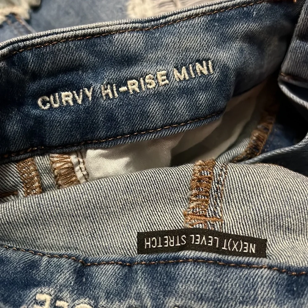 Curvy High Rise Mini Skirt